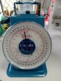 Dial spring Scale